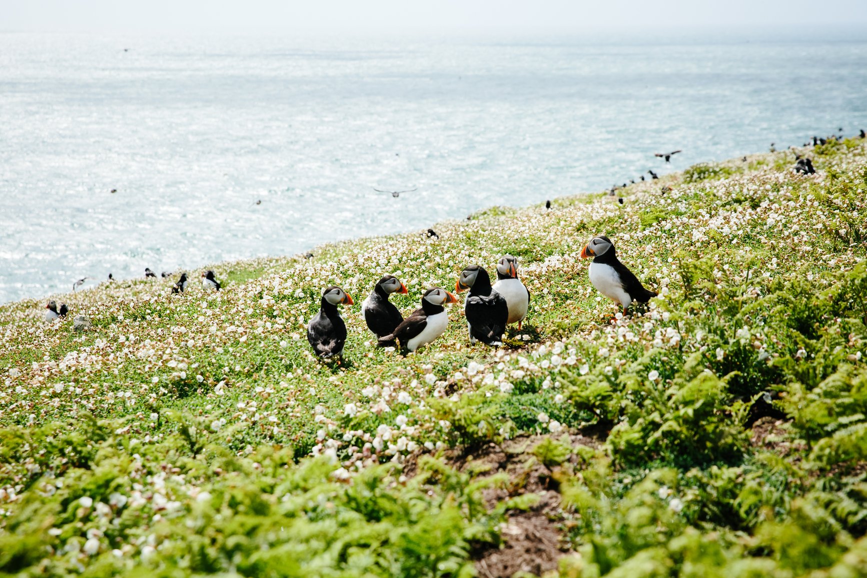 Have a Lovely Weekend.